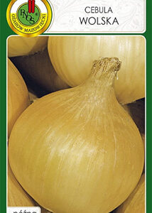 Cebula Wolska_5g PNOS