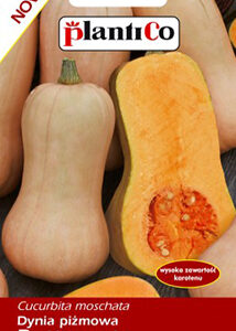 Dynia piżmowa Butternut 2g Plantico