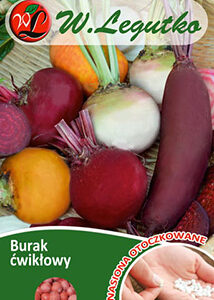 Burak ćwikłowy mieszanka odmian - Otoczkowane W. Legutko