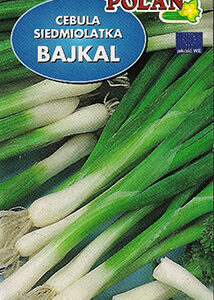 Cebula 'Bajkal' 3g Polan