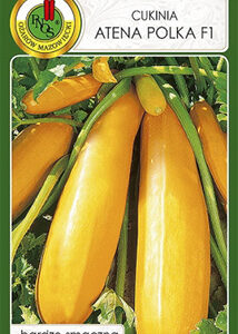 Cukinia 'ATENA POLKA' F1_3g PNOS