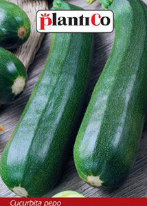 Cukinia 'Soraya' 3g Plantico