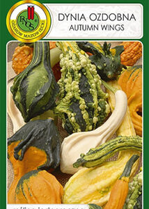 Dynia ozdobna  'Autumn wings' 1g