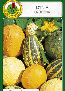 Decorative pumpkin_2g