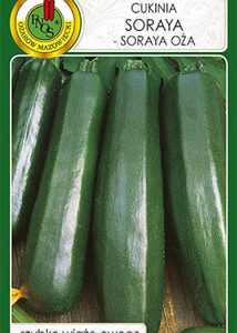 Cukinia 'Soraya' 3g PNOS