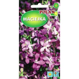 Night scented stockis pink 3g BIOPAN