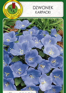 Dzwonek karpacki niebieski 0,5g PNOS
