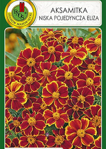 Aksamitka pojedyncza 'Eliza' 1g