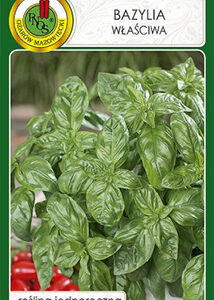 Bazylia właściwa zielona 1g PNOS