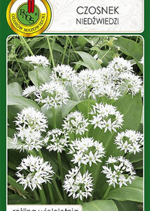 Czosnek niedźwiedzi 0,5g PNOS