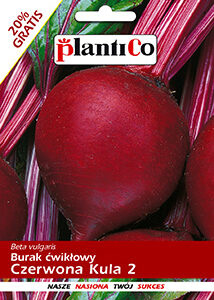 Burak ćwikłowy ‘Czerwona Kula’ 12g PlantiCo