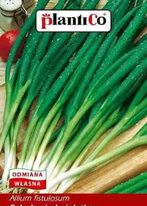 Cebula siedmiolatka Kroll 2g PlantiCo