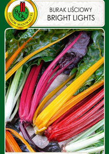 Burak liściowy mix 'BRIGHT LIGHTS' 3g PNOS