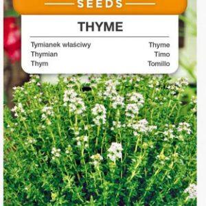 THYME 0,3g Premium Seeds