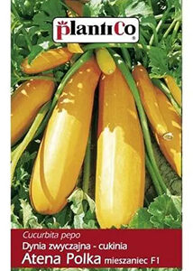  Zucchini Atena Polka Plantico 2g