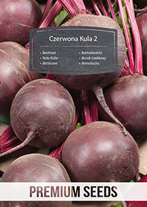 Burak ćwikłowy Czerwona Kula 10g Premium Seeds
