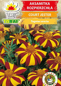 Aksamitka rozpierzchła COURT JESTER 0,5g Toraf