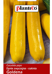 Cukinia 'Goldena' 3g PlantiCo