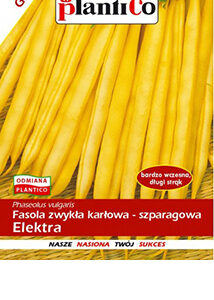 Beans Dwarf Elektra Plantico