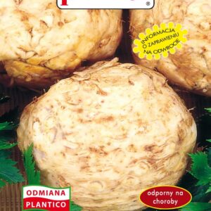 Seler korzeniowy Makar 1g Plantico