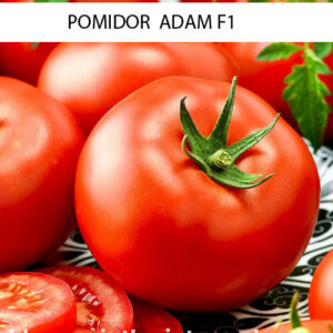 Pomidor Adam F1 - wysoki 0,2g