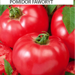Pomidor Faworyt - gruntowy malinowy 0,5g Premium Seeds