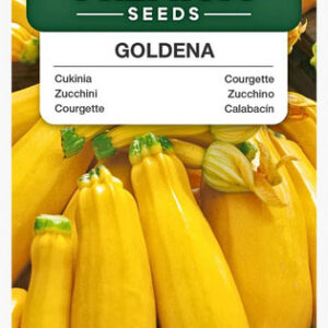Cukinia Goldena 3g Premium Seeds