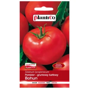 Pomidor gruntowy karłowy Bohun 1g Plantico