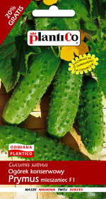 Cucumber Prymus 6g PlantiCo