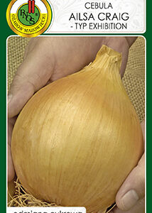 Cebula 'AILSA CRAIG' (typ Exhibition) 0,5g