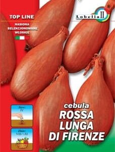 Cebula Rossa Lunga Di Firenze 2g