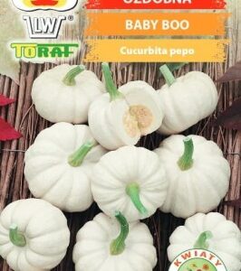 Dynia ozdobna Baby Boo 2g Toraf
