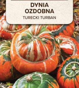 Dynia ozdobna Turecki Turban 2g