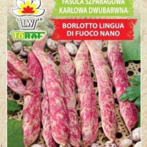 Dwarf Borlotto 30g