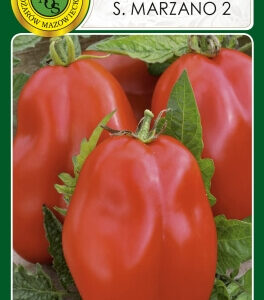 Pomidor 'SAN MARZANO 2'  0,2g PNOS