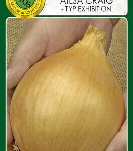 Cebula 'AILSA CRAIG' (typ Exhibition) 0,5g