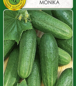 Ogórek pod osłony 'MONIKA' 2g PNOS