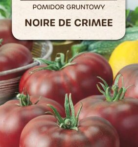 Pomidor gruntowy Noire de Crimee 0,5g Toraf