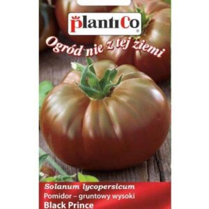 Pomidor gruntowy wysoki Black Prince 0,2g  PlantiCo