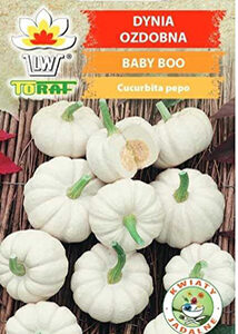 Dynia ozdobna 'Baby Boo' 2g Toraf