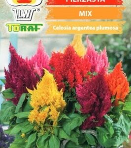 Celosia plumosa mix 0.5g Toraf