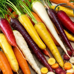 Carrot mix 2g Premium Seeds