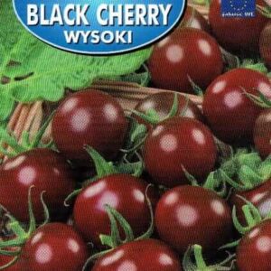 Pomidor gruntowy Black Cherry 0,1g Polan