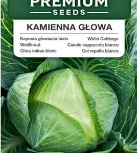 Kapusta głowiasta biała Kamienna Głowa 2g Premium Seeds