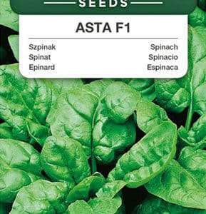 Szpinak Asta F1 10g Premium Seeds