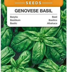 Bazylia Genovese - zielona 1g Premium Seeds