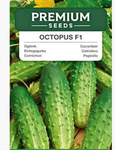 Cucumber Octopus F1 1,5g Premium Seeds