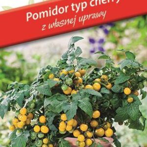 Tomato cherry Aztek 0,2g Plantico