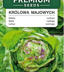 Sałata Królowa majowych - masłowa 1g Premium Seeds
