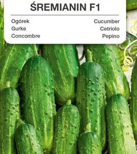 Cucumber Śremianin F1 - gruntowy 6g Premium Seeds